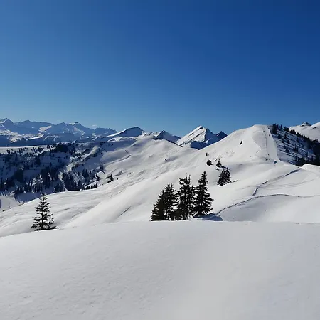 דירה Stockinger A1 *