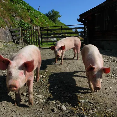 Stockinger A1 Lägenhet Grossarl