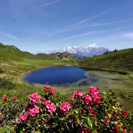 Stockinger A1 Grossarl