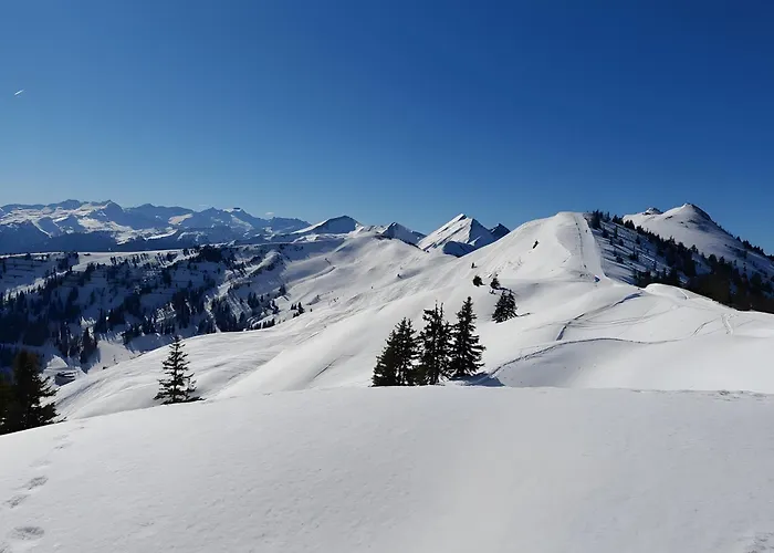 Lägenhet Stockinger A1 *