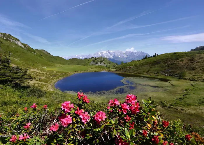 Stockinger A1 Grossarl